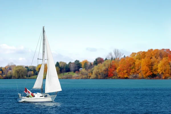 Kanadyjski jacht jesienią — Zdjęcie stockowe