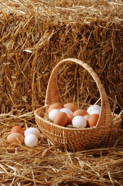 Eggs in a basket clipart