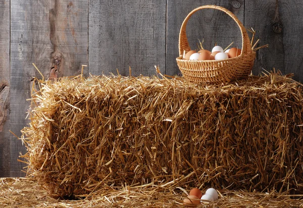 Košík vajec na balíku sena — Stock fotografie