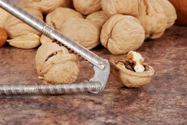 Cracking walnuts — Stock Photo, Image