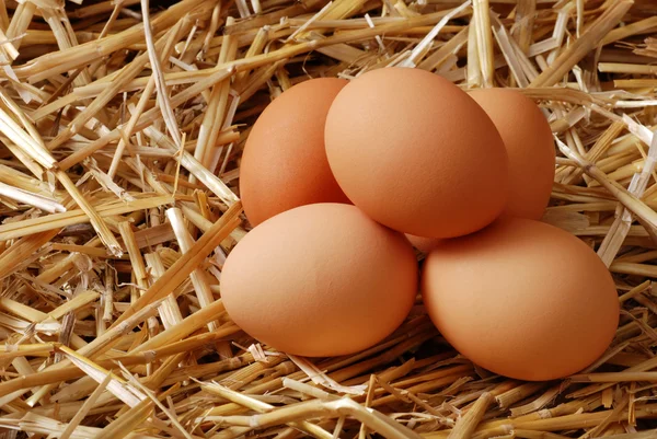 Куча коричневых яиц в соломе — стоковое фото