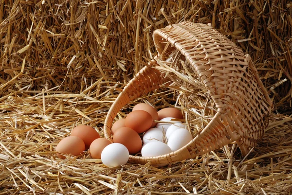 A kiömlött kosár tojással — Stock Fotó