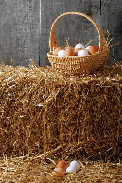 Корзина с коричневыми и белыми яйцами — стоковое фото