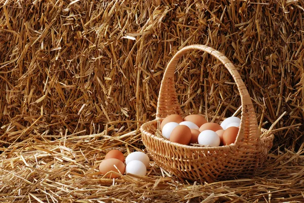 Hnědé a bílé vejce v košíku — Stock fotografie