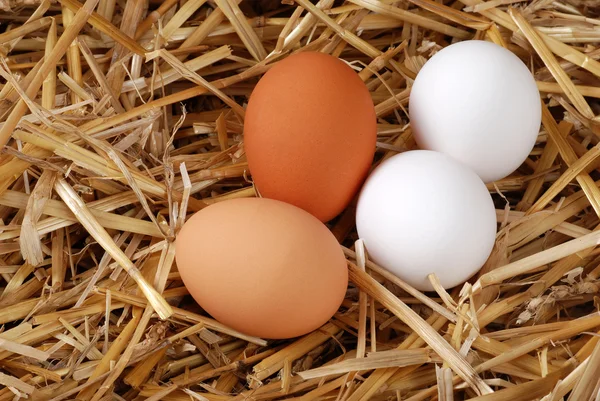 Kahverengi ve beyaz yumurta saman içinde — Stok fotoğraf