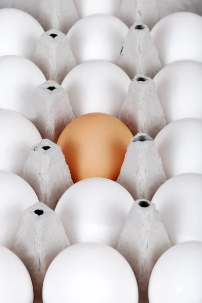 Картонна коробка з білими яйцями з одним коричневим — стокове фото