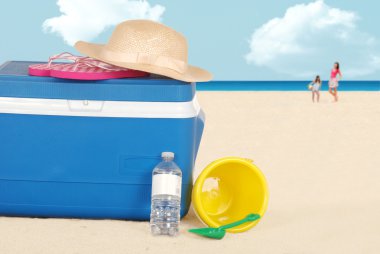 Playa del refrigerador con sombrero y botella de agua