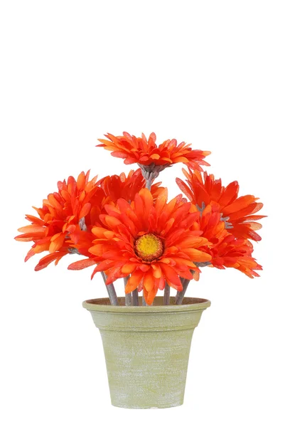 Gefälschter Topf mit Gerbera-Gänseblümchen — Stockfoto