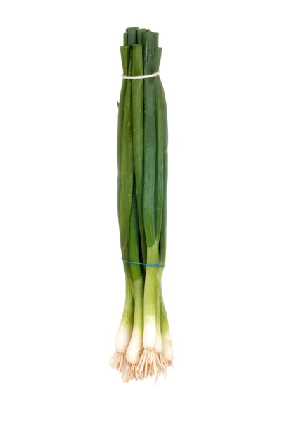 Isolated spring onions — Stock Photo, Image