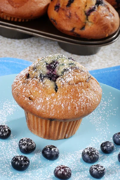 Blueberry muffin med florsocker — Stockfoto