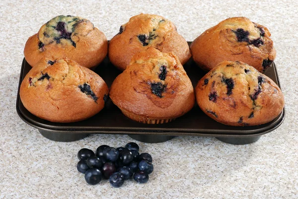 Muffins de mirtilo em uma assadeira — Fotografia de Stock