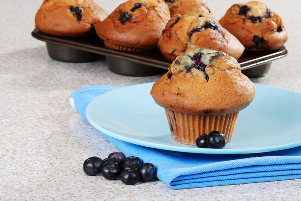 Blueberry muffin med färska bär — Stockfoto