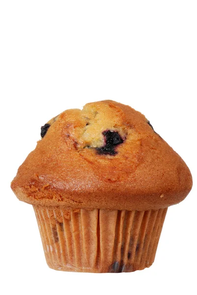 Muffin de mirtilo isolado — Fotografia de Stock