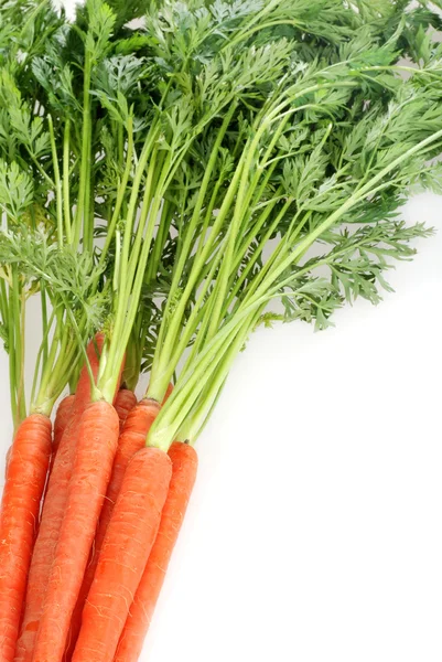 Top view fresh carrots — Stock Photo, Image