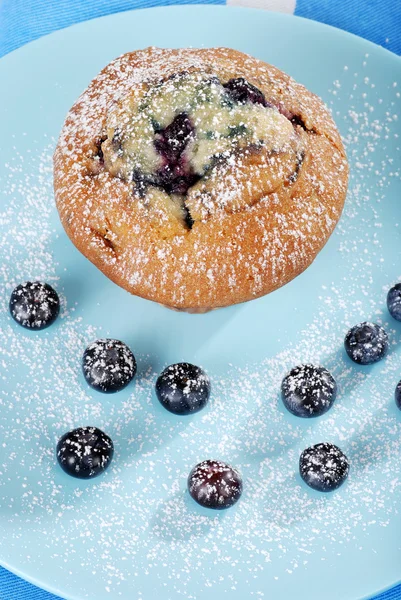 Widok z góry muffin czernicy z cukru pudru — Zdjęcie stockowe