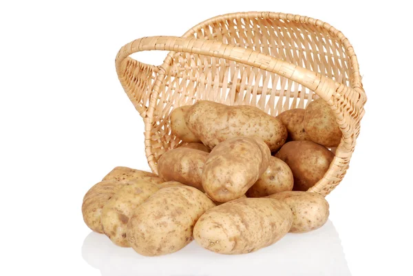 Korb mit verschütteten Kartoffeln — Stockfoto