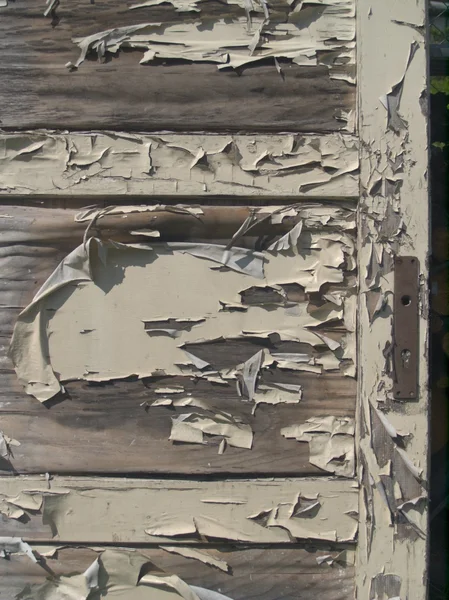 paslı eski kapı doku