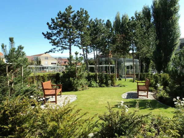 stock image Garden with benches and pines