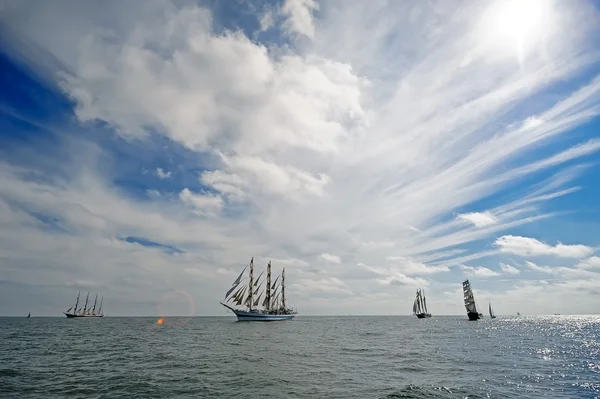 stock image Regatta