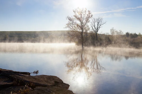 Mlžné svítání — Stock fotografie