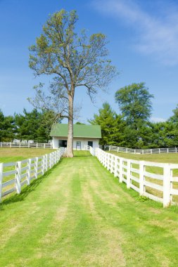 Horse farm clipart