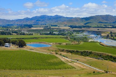 New Zealand Wine Country clipart