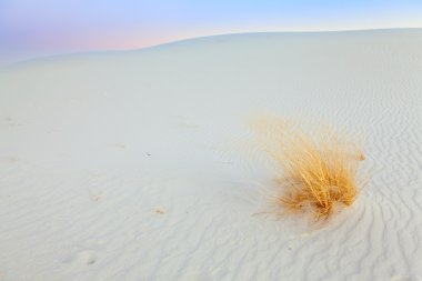 White Sands clipart