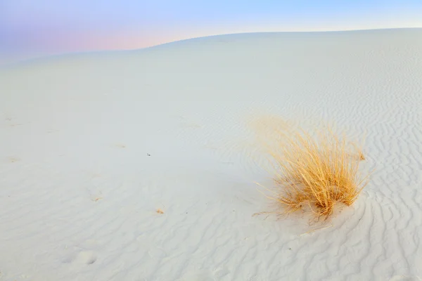 Areias brancas — Fotografia de Stock