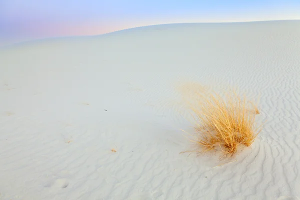 stock image White Sands