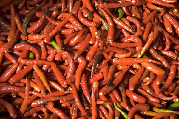 Κόκκινο καυτό πιπέρι τσίλι ΙΙ — Φωτογραφία Αρχείου