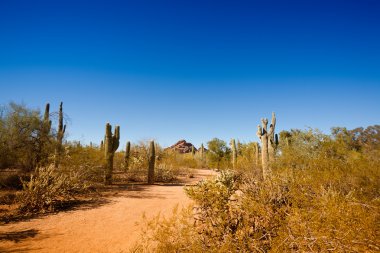 Arizona desert clipart