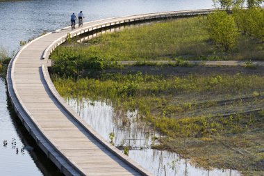 Bicycling on boardwalk clipart