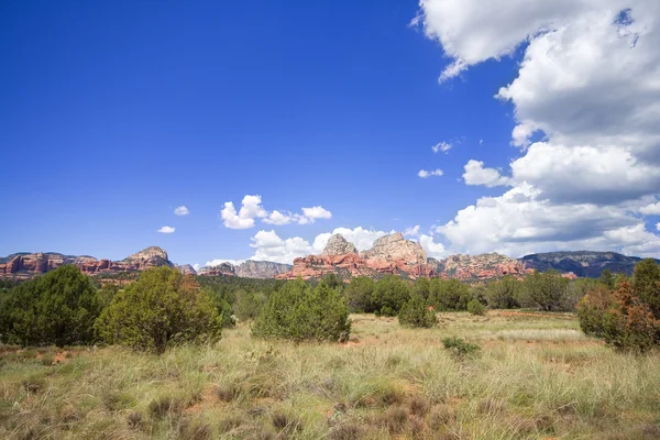 Аризона большая открытая — стоковое фото