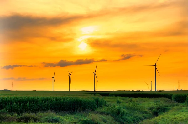 Molino de viento granja puesta del sol —  Fotos de Stock