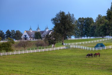 Evening at a horse farm clipart