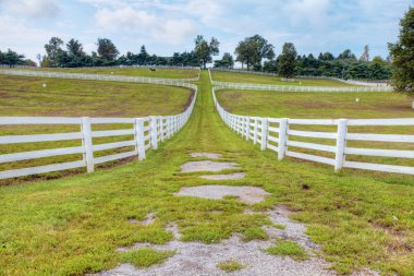 Horse farm clipart