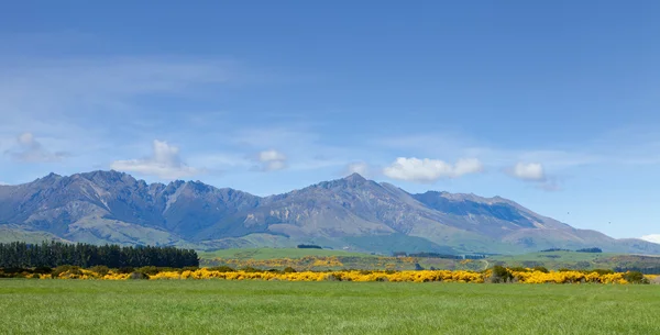 Nuova Zelanda paesaggio — Foto Stock
