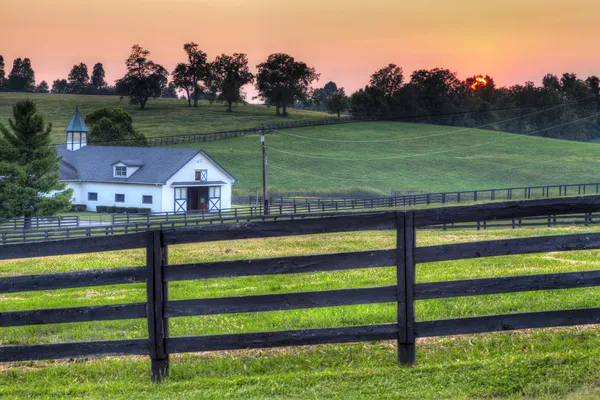 O pôr do sol do cavalo fazenda — Fotografia de Stock