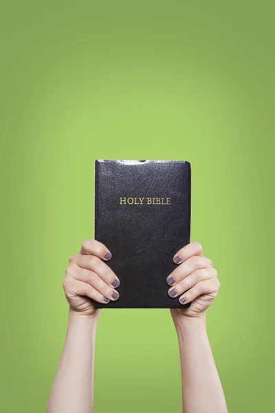 Mantener la Biblia en alto sobre el verde — Foto de Stock