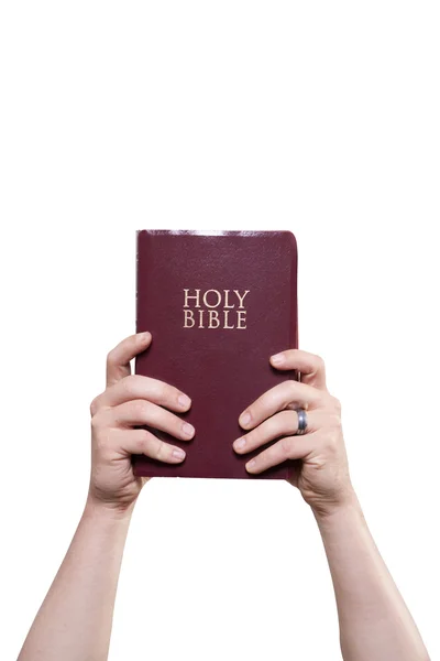 Házas ember tartja a Biblia magas — Stock Fotó