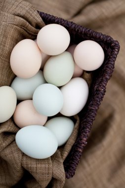 Colorful Free Range Organic Eggs clipart