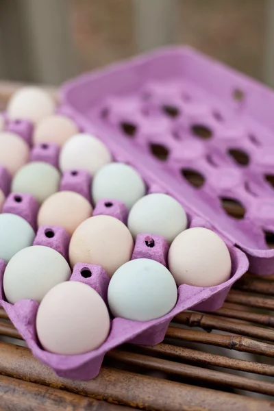 Free Range Organic Eggs — Stock Photo, Image