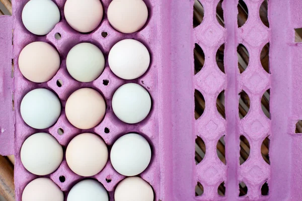 Farverige økologiske æg Baggrund - Stock-foto