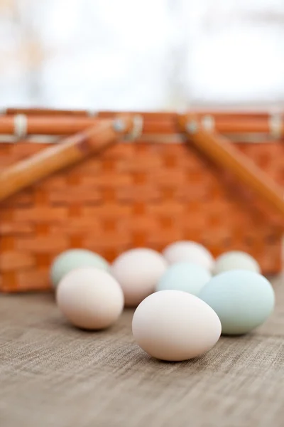 Colorful Organic Eggs — Stock Photo, Image