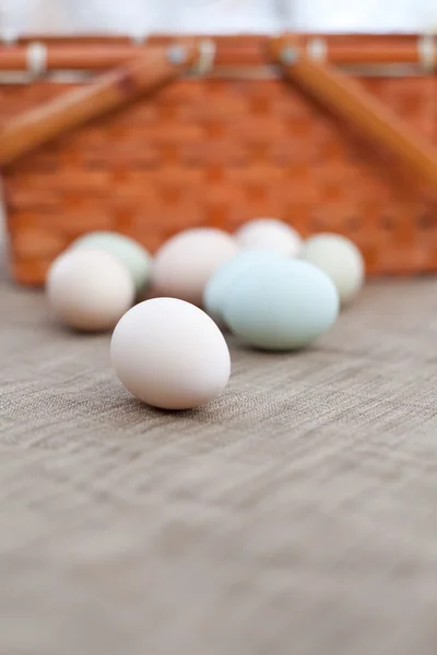 Økologiske æg og en kurv - Stock-foto