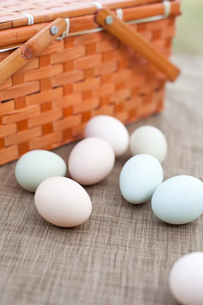 Økologiske æg på bordet - Stock-foto