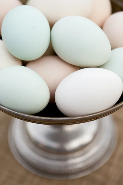 Økologiske æg i en skål - Stock-foto