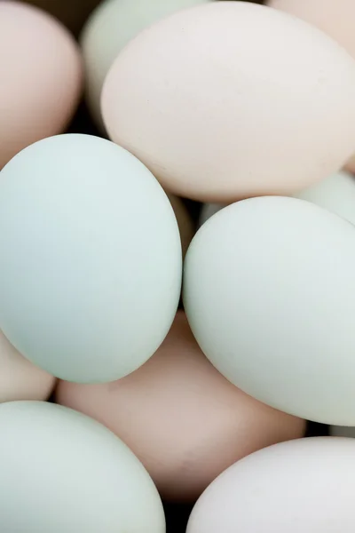 Organic Eggs Background — Stock Photo, Image