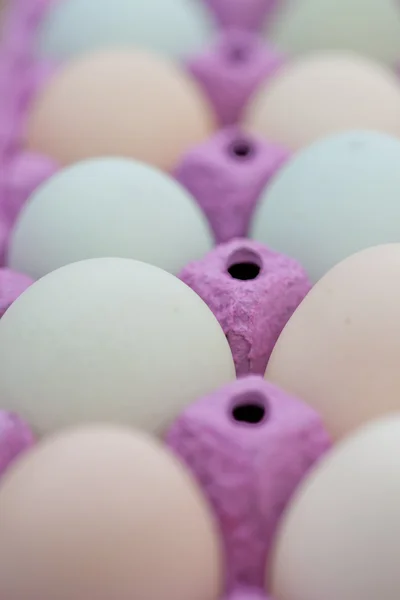 Økologiske æg i en kasse - Stock-foto