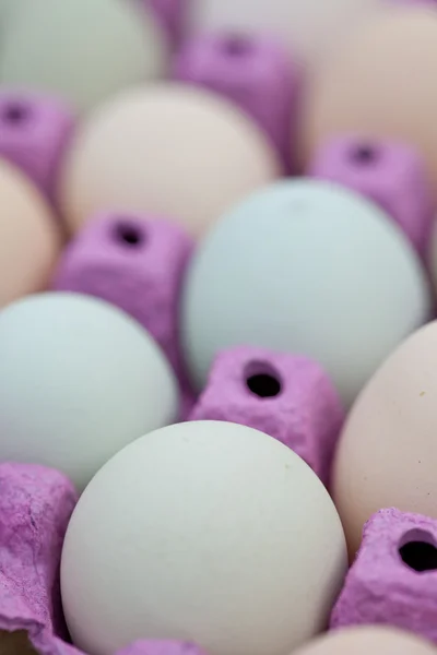 Farverige økologiske æg i en kasse - Stock-foto